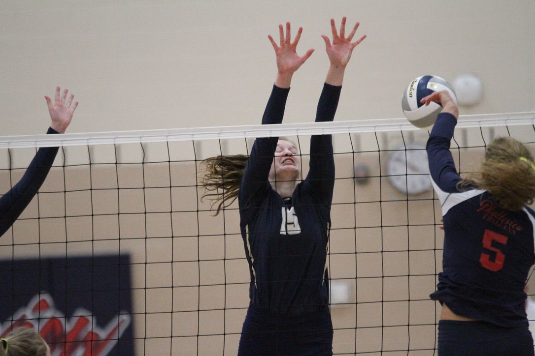 York vs. Platteview volleyball 10.jpeg